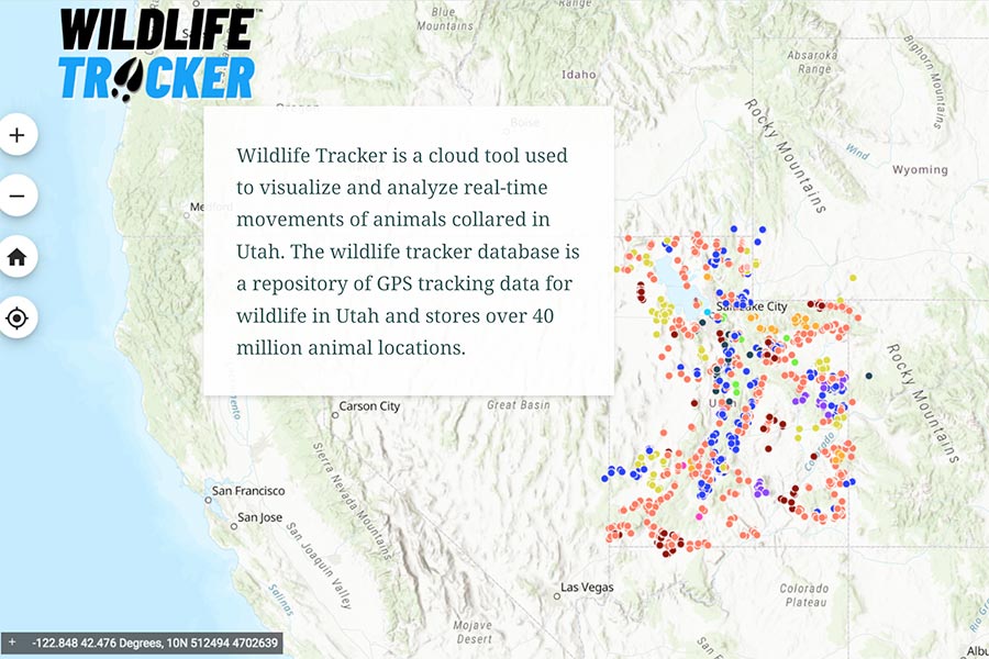 Screen shot of the Utah DWR Wildlife Tracker, a cloud tool used to visualize and analyze real-time movements of animals wearing GPS collars