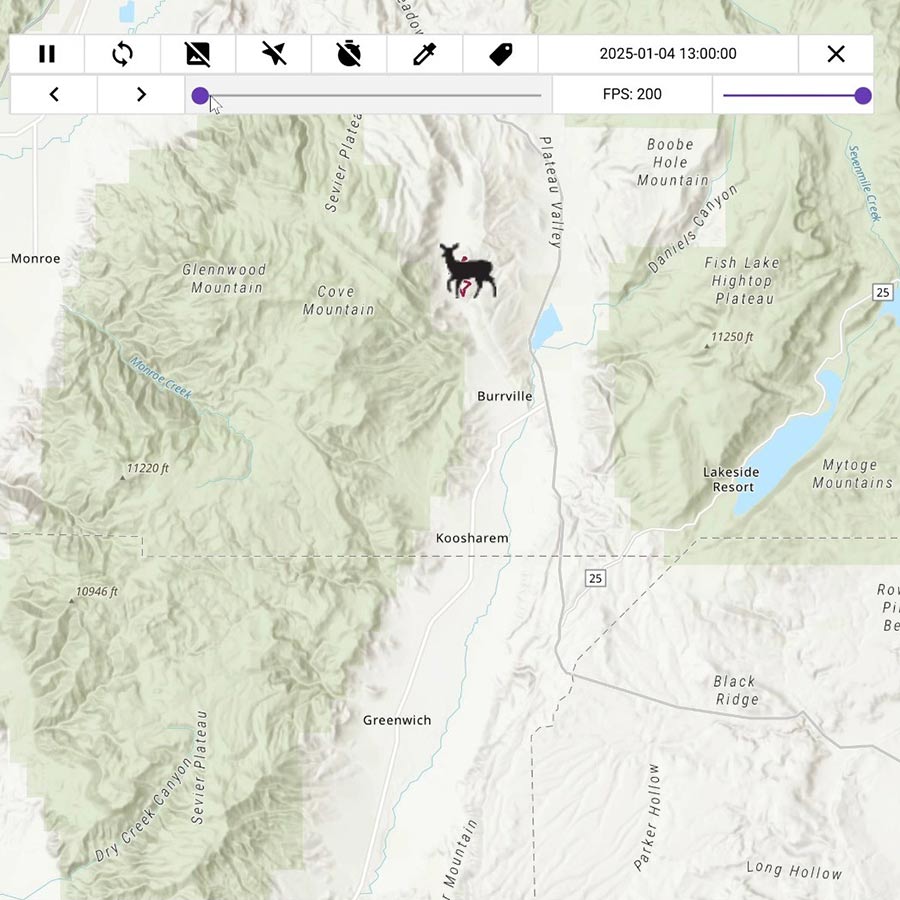 Animation showing where one collared doe migrated during the Monroe Canyon wildfire